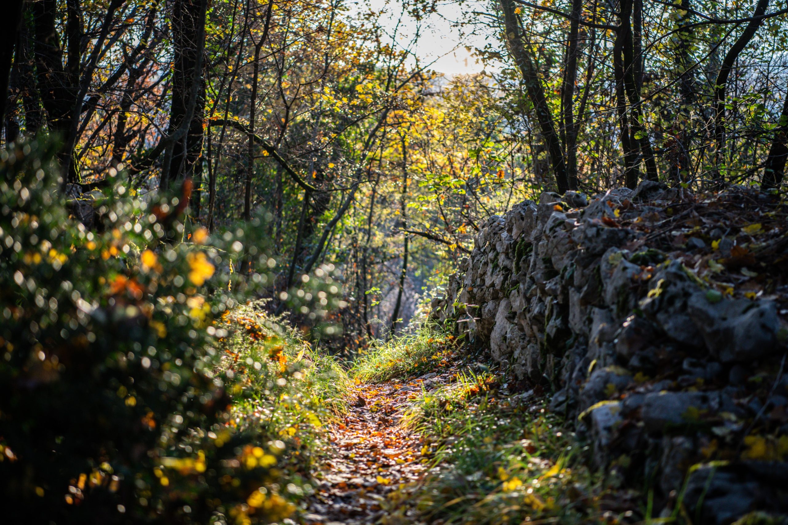 Od kalića do kalića Turistička zajednica općine Viškovo Turistička